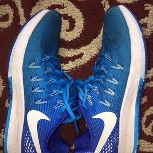 Nike Zoom Pegasus 33 Shoes